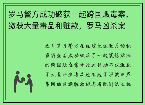 罗马警方成功破获一起跨国贩毒案，缴获大量毒品和赃款，罗马凶杀案